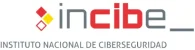 instituto-nacional-ciberseguridad_11zon